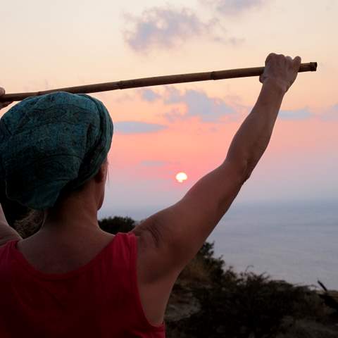 pole raises exercise, sunset